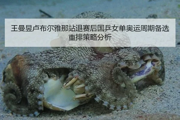 王曼昱卢布尔雅那站退赛后国乒女单奥运周期备选重排策略分析