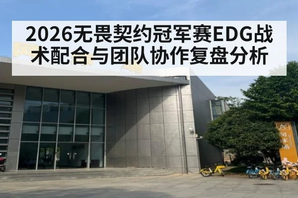 2026无畏契约冠军赛EDG战术配合与团队协作复盘分析