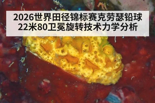 2026世界田径锦标赛克劳瑟铅球22米80卫冕旋转技术力学分析